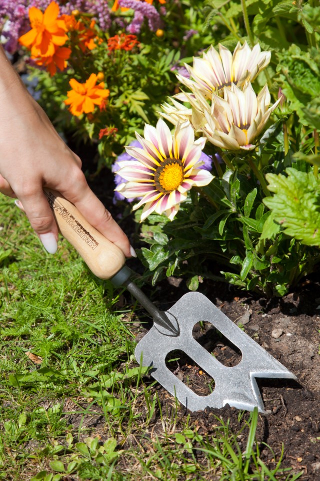 Krumpholz Handspork mit Eschengriff
