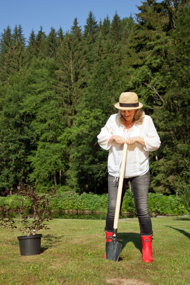 Krumpholz Gesmede dames spade met profiel en essenhouten T-greep (80cm)