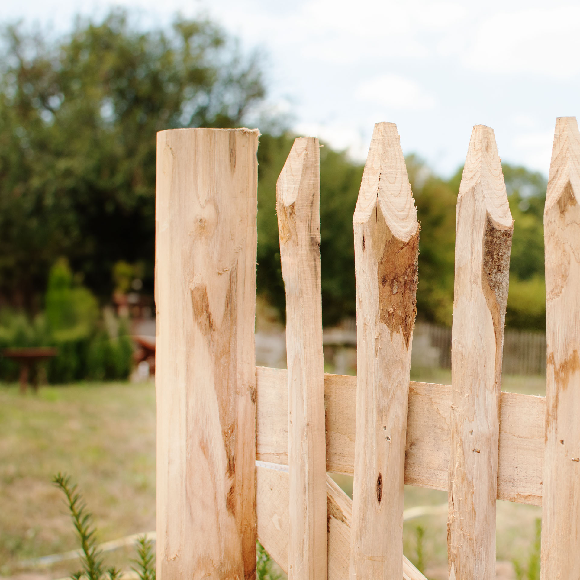 Staketenzaun-Tor (genagelte Ausführung), Edelkastanie B120 cm H200 cm