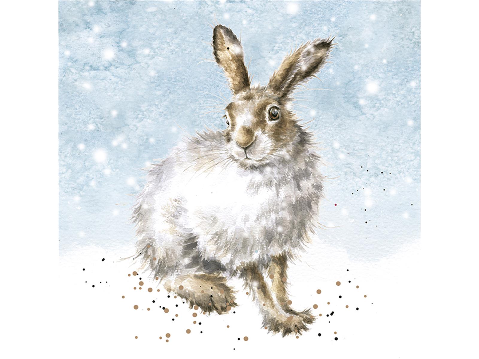 Wrendale Weihnachtskarten Set " Winter Hare",Hase sitzt im Schnee, 8 Karten mit Umschlag und Text, 12x12 cm Wrendale Weihnachtskarten Set " Winter Hare",Hase sitzt im Schnee, 8 Karten mit Umschlag und Text, 12x12 cm
