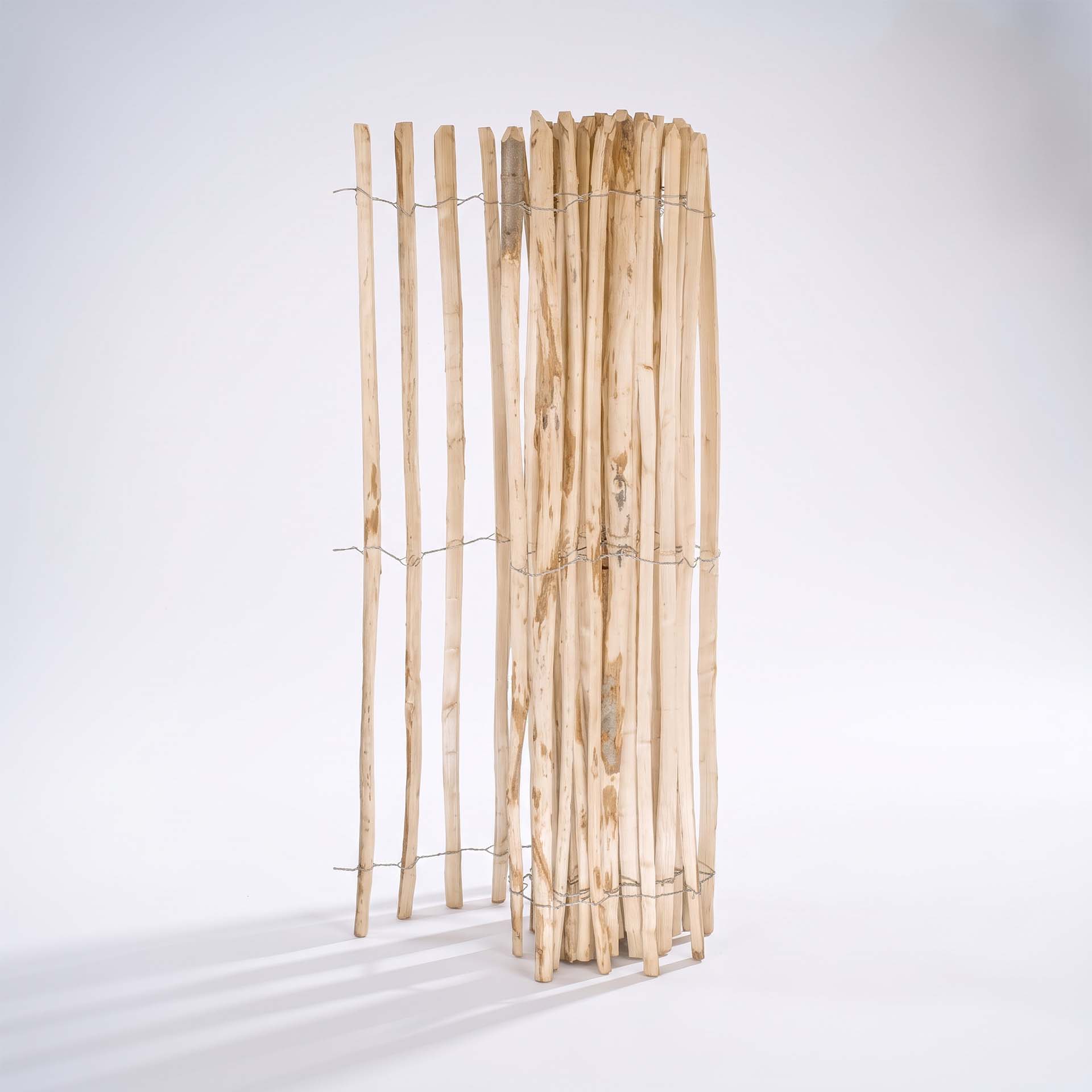 3D Ansicht