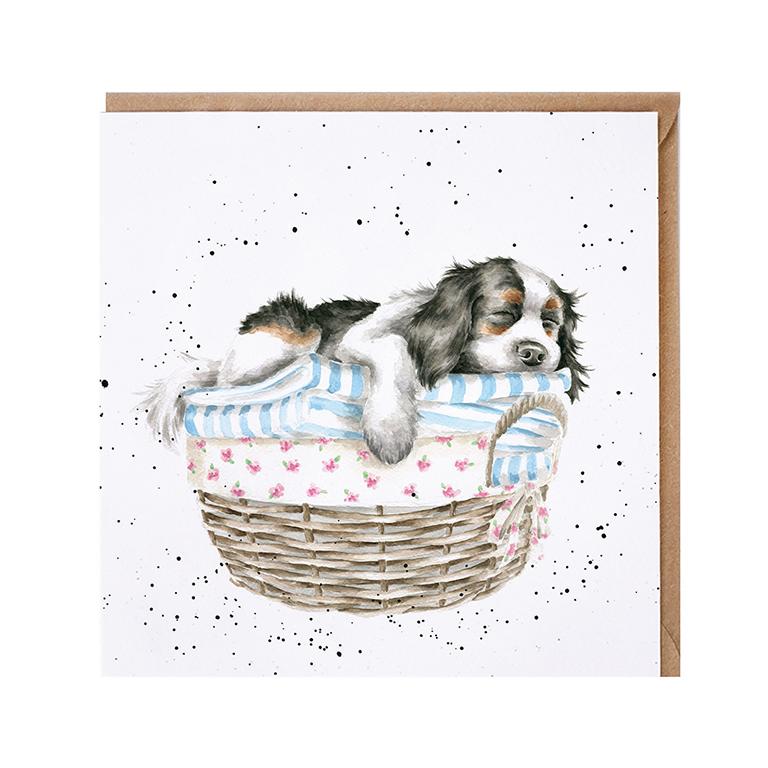 Wrendale Doppelkarte mit Umschlag, Motiv Hund liegt im Körbchen "Wash, dry, fold, repeat" 15x15 cm