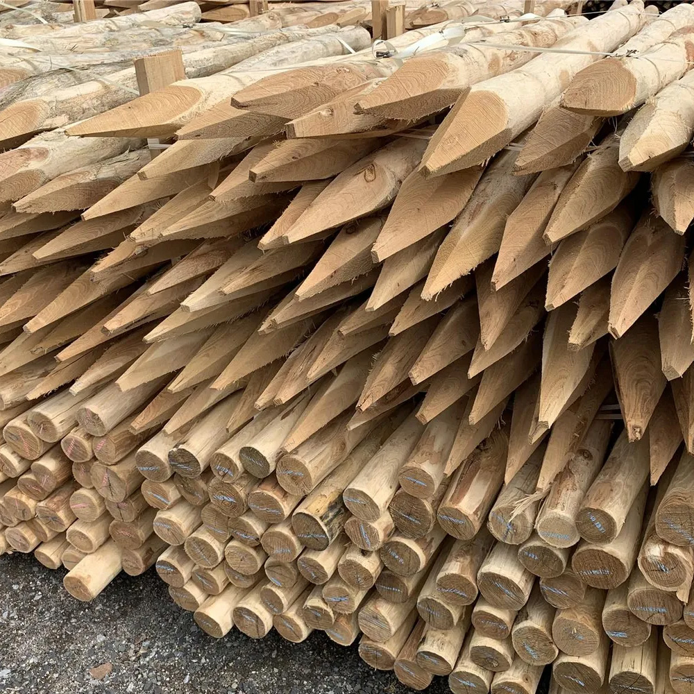 Pfähle aus Robinie 160 cm Länge, DM 6-8 cm