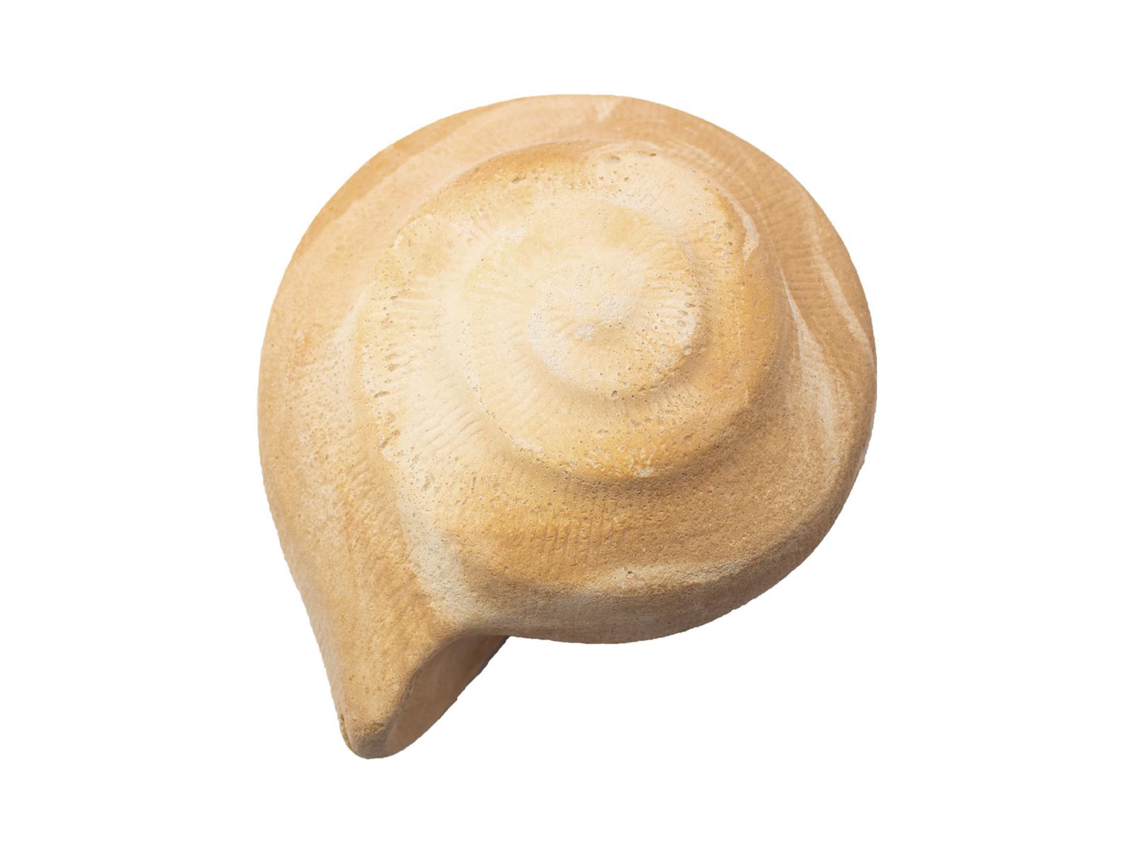 Zandstenen schelp, 16x13x7cm Zandstenen schelp, 16x13x7cm