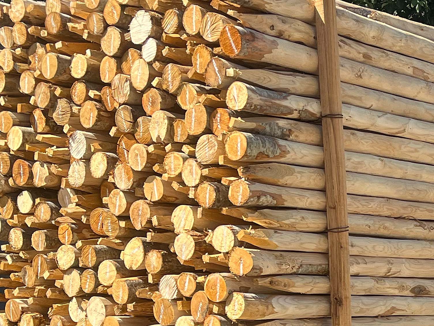 Pfähle aus Kastanie 180 cm Länge, DM 6-8 cm