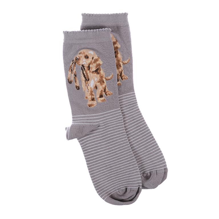 Wrendale Socken "Hopeful", Motiv Hund mit Leine im Maul, grau mit weißen Streifen, aus Super Soft Bambus, Einheitsgröße, mit Geschenktasche