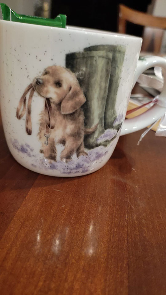 1101-1508 Wrendale Designs Tasse mit Hund