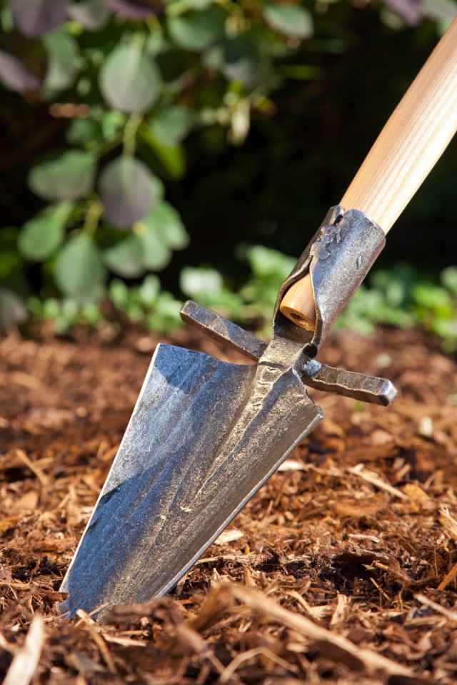 Krumpholz Gesmede dames spade met profiel en essenhouten T-greep (80cm)