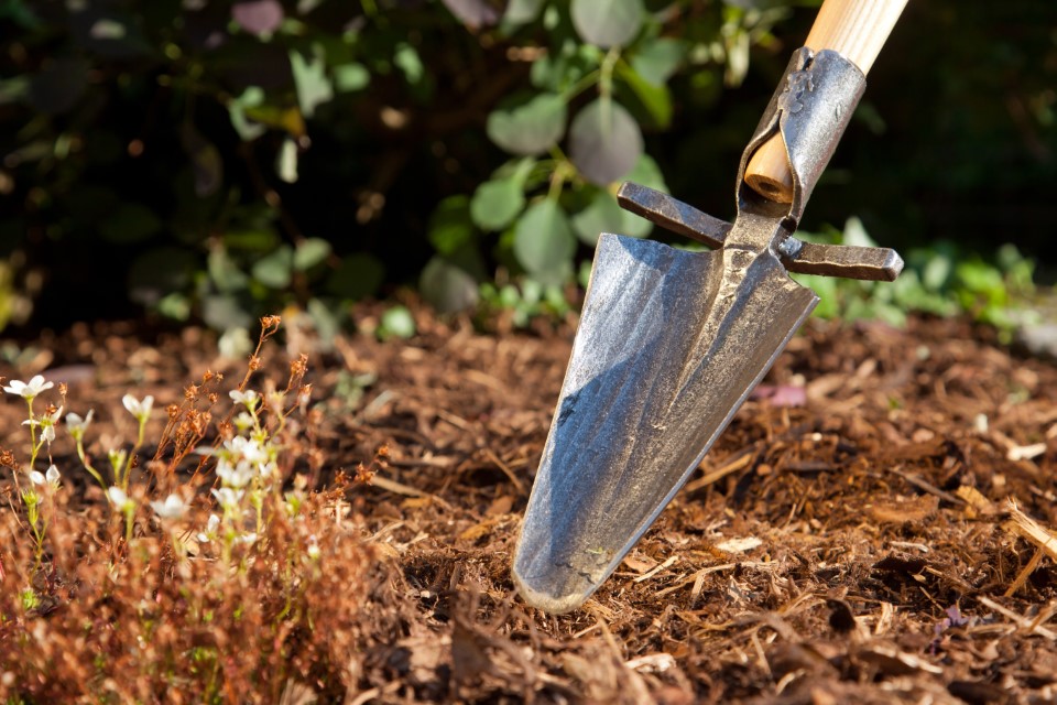 Krumpholz Gesmede dames spade met profiel en essenhouten T-greep (80cm)