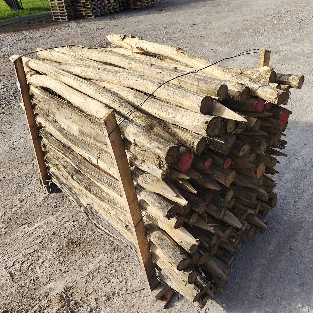 Pfähle aus Robinie (B-Ware), 200 cm Länge, DM 6-8 cm