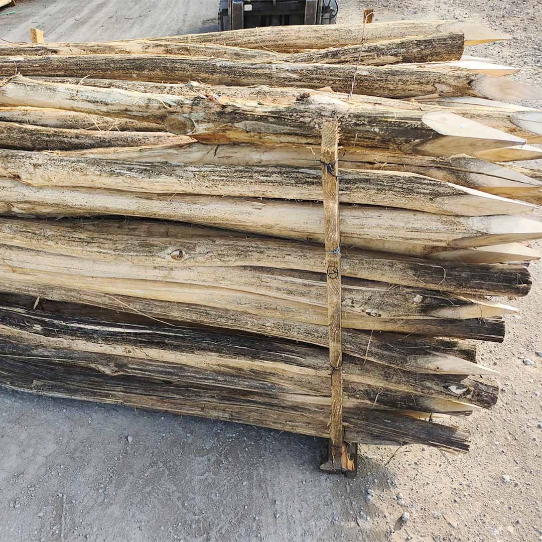 Pfähle aus Robinie (B-Ware), 200 cm Länge, DM 6-8 cm