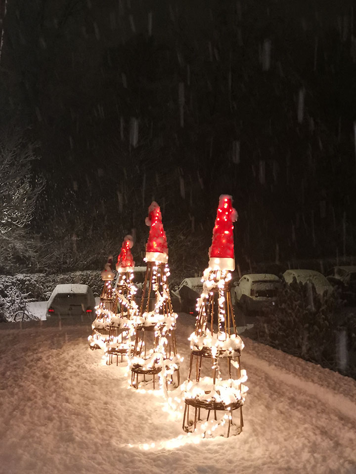 2811-1943 Weidenkegel im Schnee