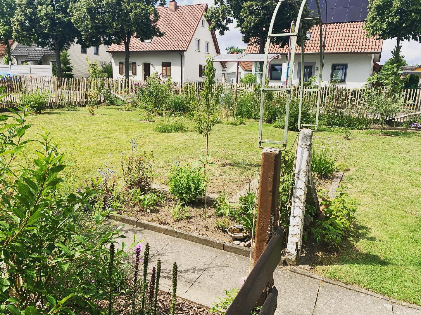 Foto 9 von 10 von @bees.n.sunflowers