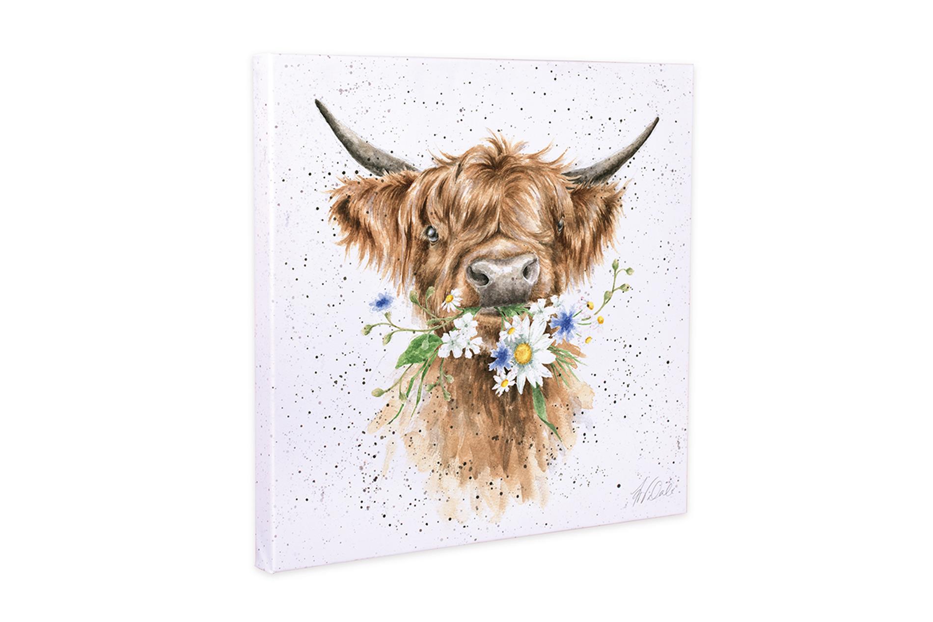 Wrendale Leinwand klein, Aufdruck Hochlandkuh , " Daisy Cow", 20x20 cm