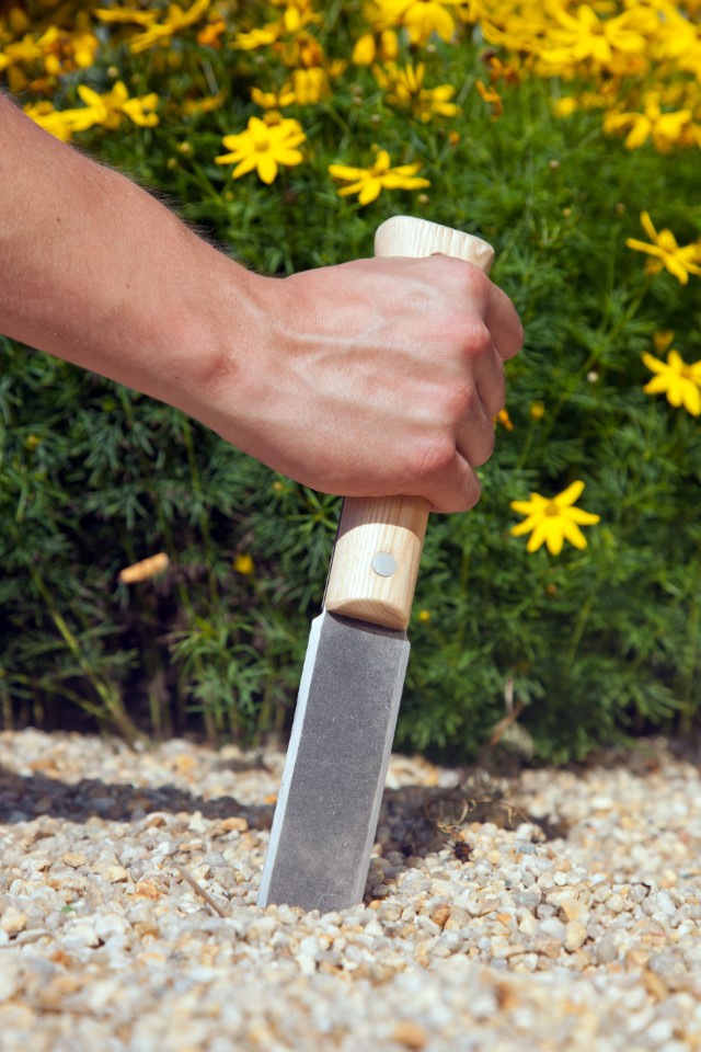 Krumpholz Pflanzmesser (Klingenlänge 17 cm) mit genietetem Eschenholzgriff
