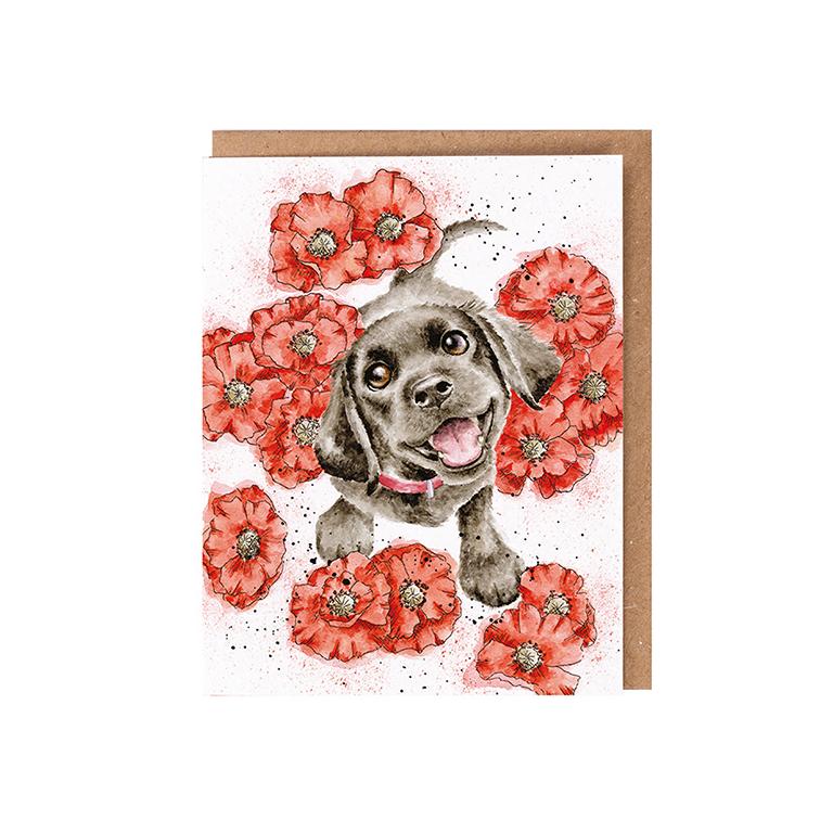Wrendale Doppelkarte mit Umschlag, Motiv Hund mit Mohnblumen, Poppy Love Wrendale Doppelkarte mit Umschlag, Motiv Hund mit Mohnblumen, Poppy Love