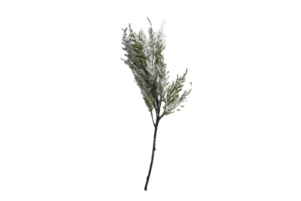 Verschneiter Tannenast, 52 cm
