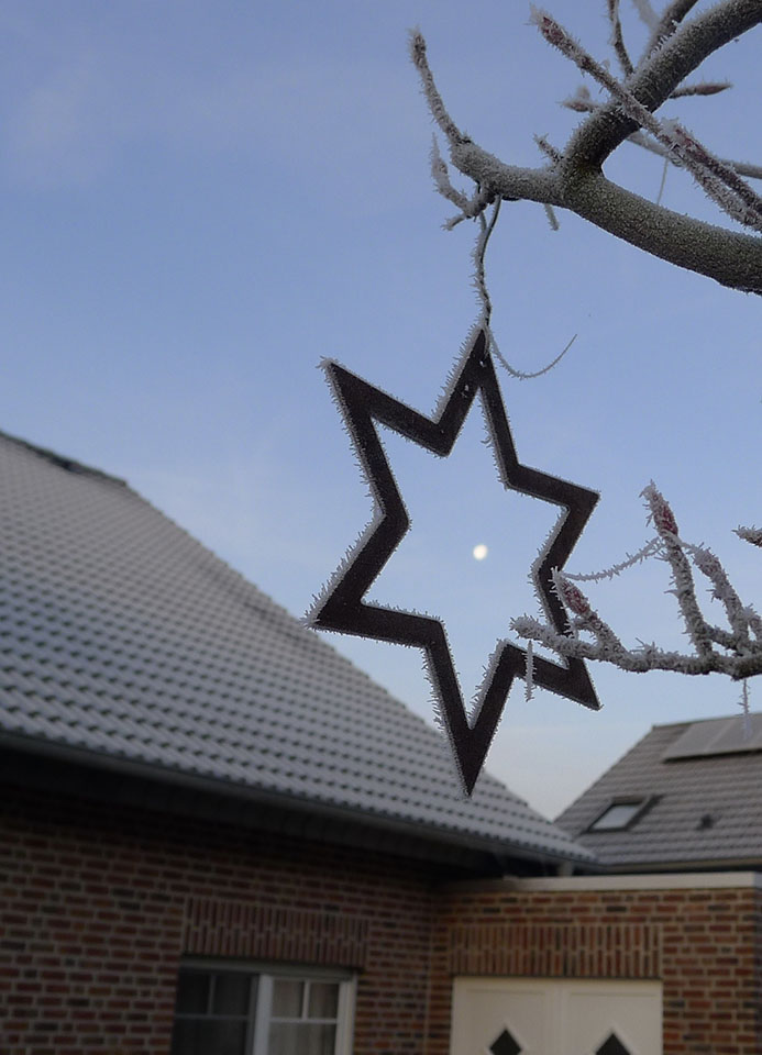 2312-2323 Edelroststern mit Mond und Tau