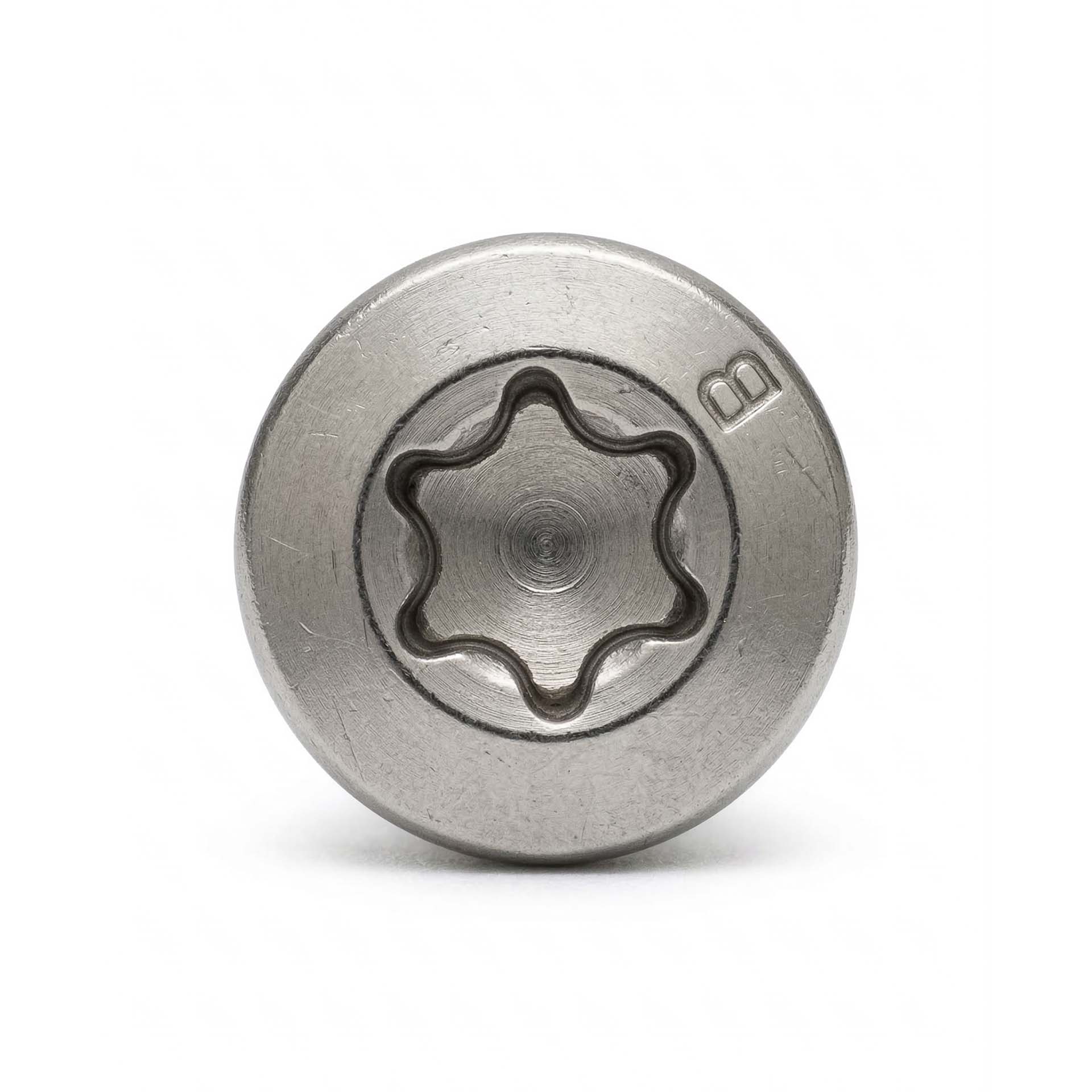 Premium Edelstahlschraube mit Bohrkopf (100 Stück, 5x70mm, Torx) für Polderzaun/Heuvelzaun-Befestigung