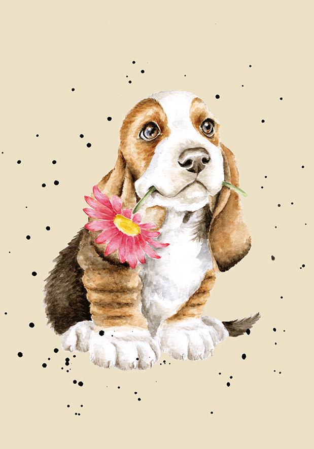 Wrendale Notizbuch, DIN A6, Motiv Hundewelpe mit Blume, Just for you Wrendale Notizbuch, DIN A6, Motiv Hundewelpe mit Blume, Just for you
