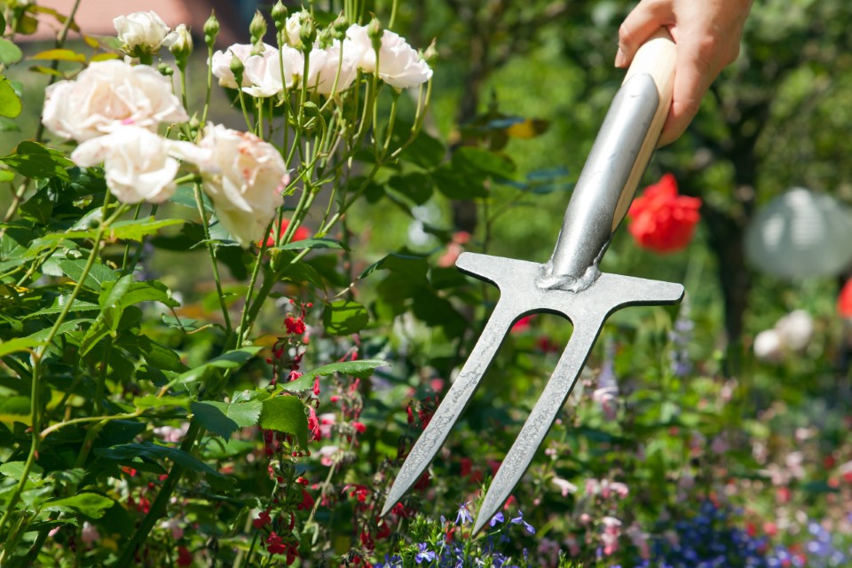 Krumpholz Rosengabel mit Eschen-T-Stiel (90 cm) Krumpholz Rosengabel mit Eschen-T-Stiel (90 cm)