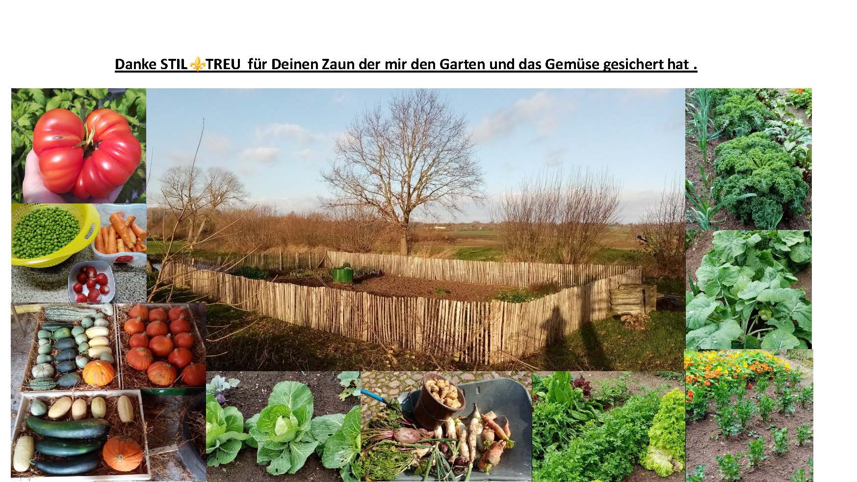 0312-1601 Staketenzaun Beeteinfassung