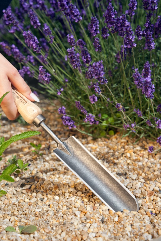Krumpholz smalle plantspaan, met ronde snijkant (gesmede versie) met essenhouten handvat