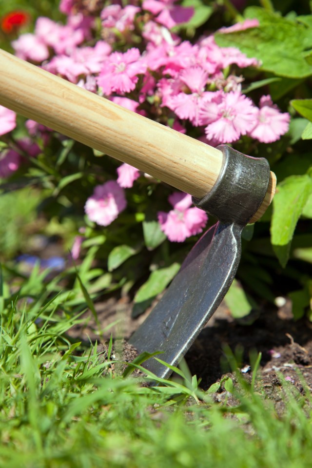 Krumpholz handschoffel, Regensburg vorm, met essenhouten koeienhuid handvat (48 cm) Krumpholz handschoffel, Regensburg vorm, met essenhouten koeienhuid handvat (48 cm)