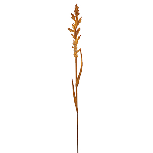 Grasstecker klein, Edelrost, Rost, H 150 cm