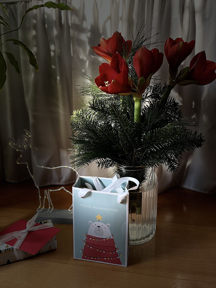 2312-1425 Stiltreu Geschenktüte vor Vase