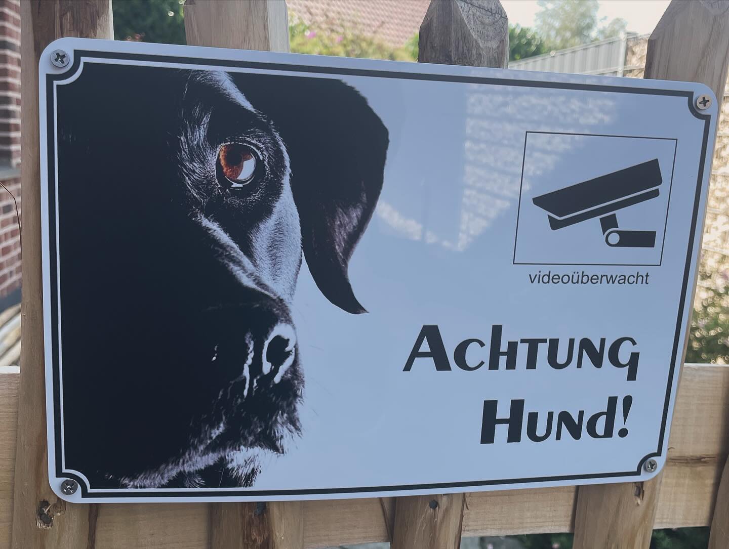 Foto 2 von 2 von @labby_nero