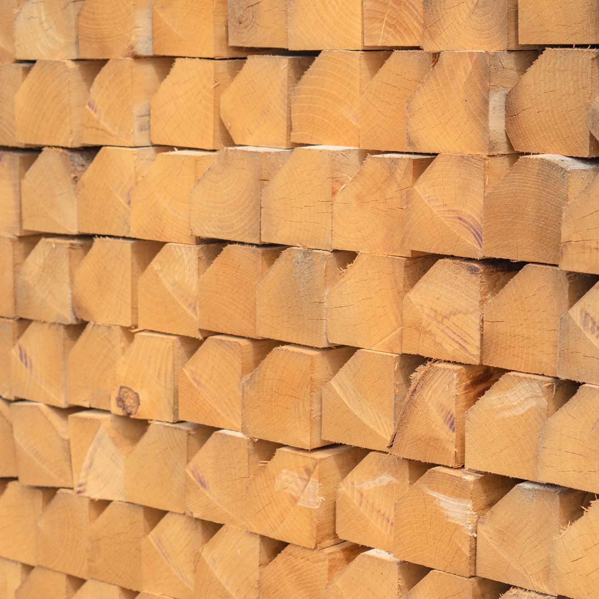 Fünfkantpfähle aus Kastanie, 120 cm Länge, Durchmesser 6-8 cm Fünfkantpfähle aus Kastanie, 120 cm Länge, Durchmesser 6-8 cm