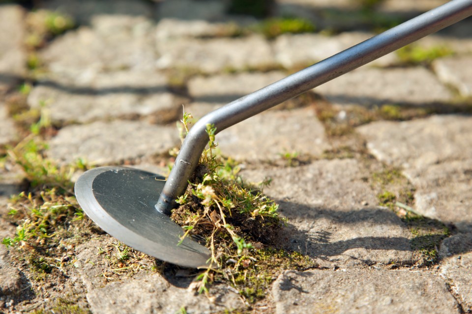 Krumpholz tuinschijf (onkruidmes) met essenhouten handvat Krumpholz tuinschijf (onkruidmes) met essenhouten handvat