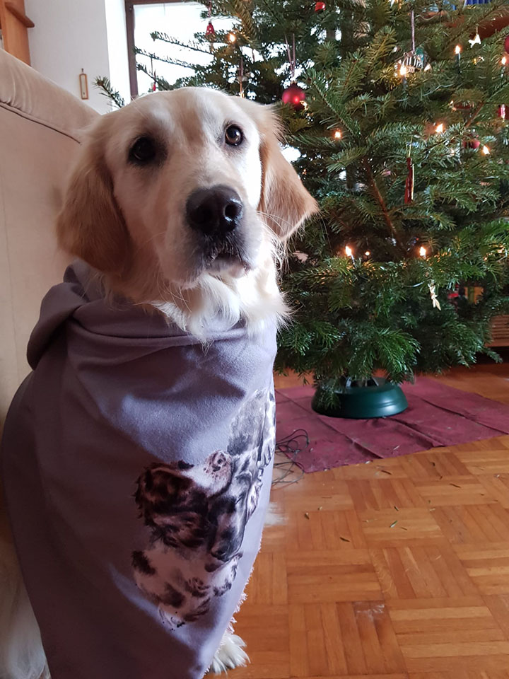 1101-1730 Wrendale Designs Schal mit Hund vor Tannenbaum
